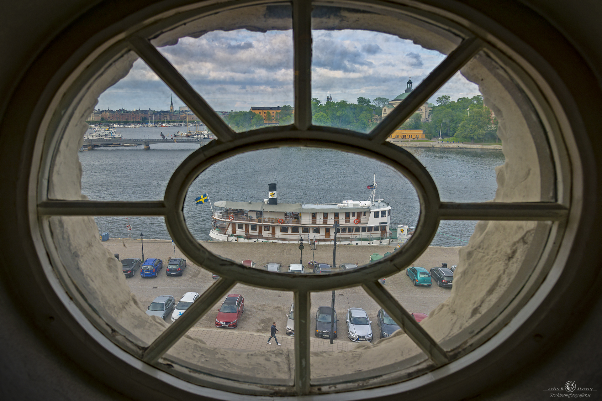 _DSC9393_Webb