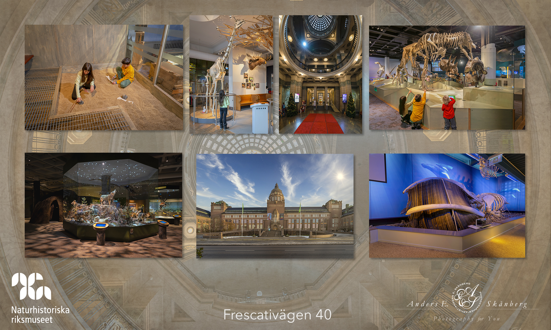 Naturhistoriska_Stockholm_AndersES